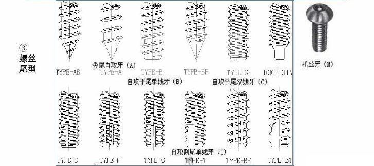 自攻螺絲尾型